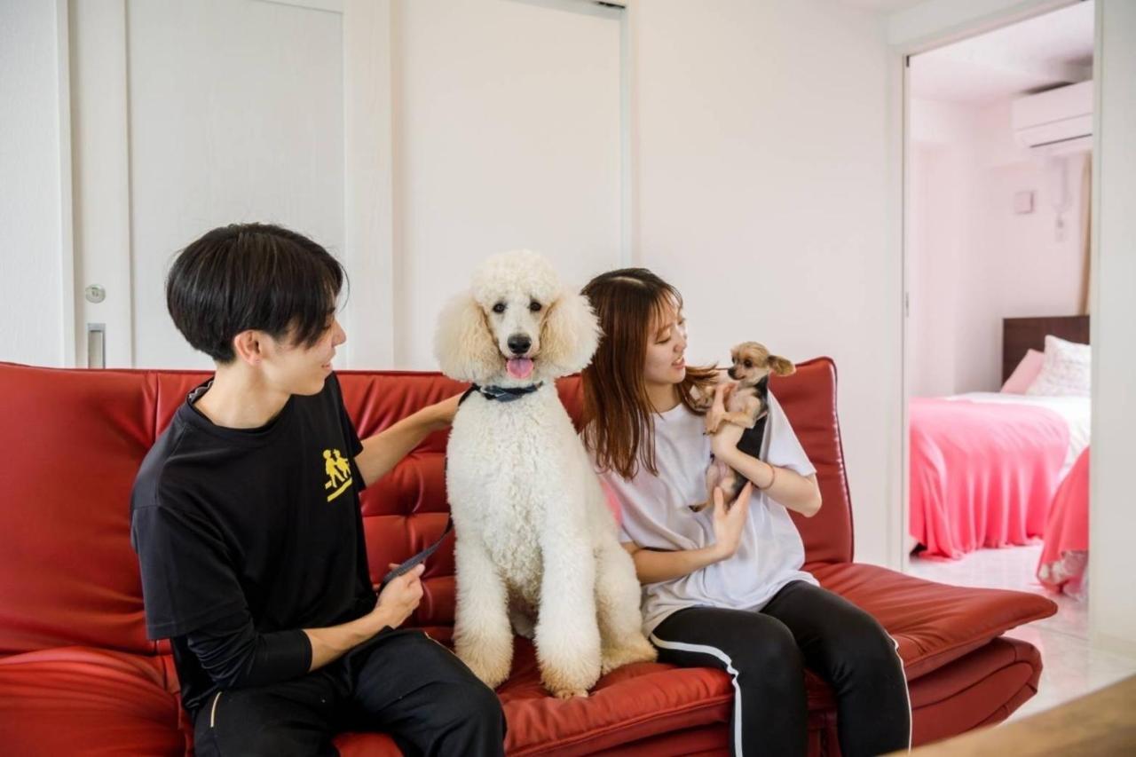 Guest Wes - Vacation 49860v Apartment Uruma